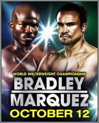 BRADLEY VS. MARQUEZ: WHAT SETS THEM APART AND WHO WILL WIN?