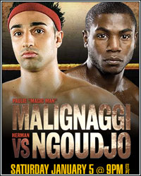 SHOWTIME COMES OUT SWINGING: PAULIE MALIGNAGGI DEFENDS IBF TITLE AGAINST HERMAN NGOUDJO
