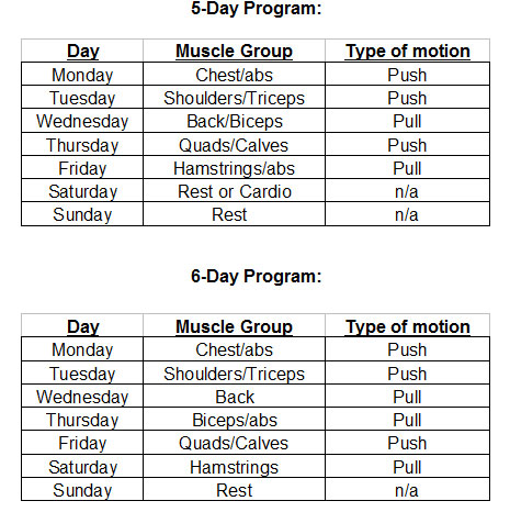 Gym Training Program To Lose Weight